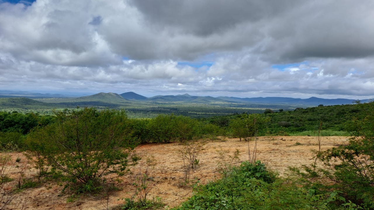Vista da propriedade